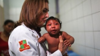 The CDC Issues An Unprecedented Warning About The Zika Virus Outbreak In Miami