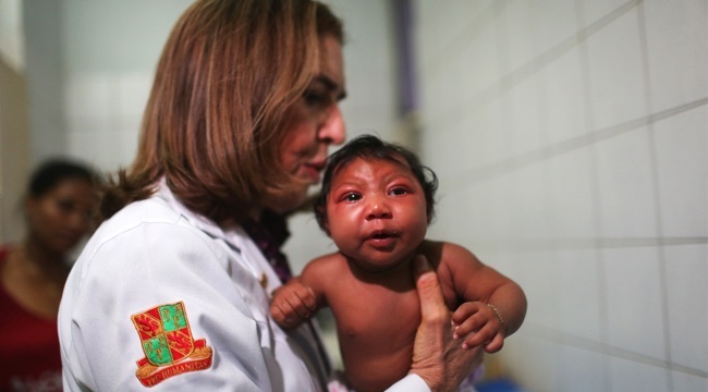 Brazil Faces New Health Epidemic As Mosquito-Borne Zika Virus Spreads Rapidly