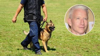A Police K-9 Unit Will Get Bulletproof Vests Thanks To A Big Donation From Anderson Cooper