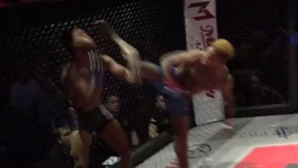 You Have To Check Out This Insane Roundhouse Heel Kick Knockout Right Now