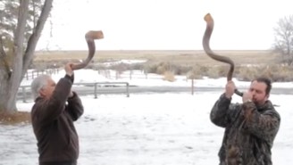 Watch The Oregon Militia Blow ‘Battle Trumpets’ In Their Weirdest Performance Yet
