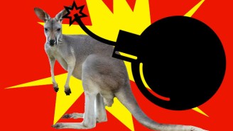 This Australian Terror Suspect Wanted To Strap Explosives Onto A Kangaroo