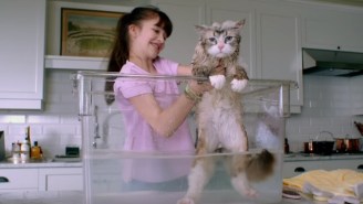 Kevin Spacey Takes On A Challenging New Role, A Cat, In The ‘Nine Lives’ Trailer
