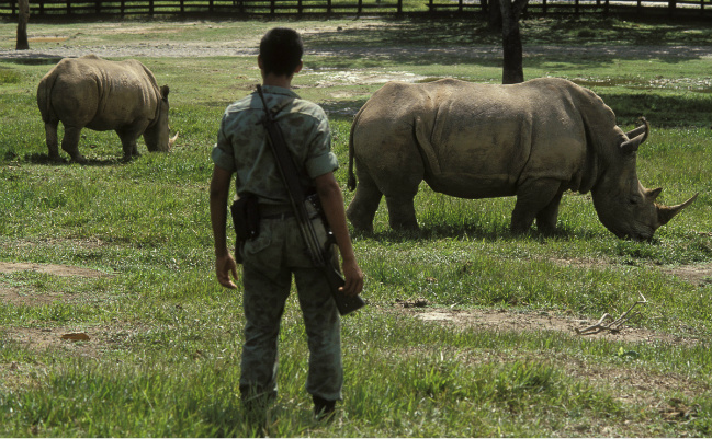 pablo escobar estate hippos