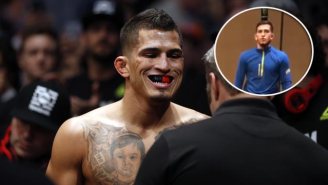 Watch Anthony Pettis Shock His Brother With An Incredible Spinning Kick
