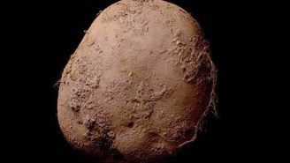Is This The Most Expensive Potato Picture Ever?