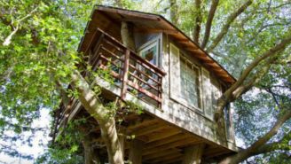 Need A Place To Stay For The Super Bowl? How About A $500 A Night Tree House?