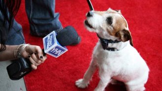 Why Didn’t The SAGs Include Uggie The Dog In The ‘In Memoriam’ Segment?