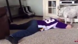 This Devastated Vikings Fan And His Dog Are Here To Remind You Sports Are Bad