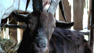 The voice of Black Phillip in ‘The Witch’ is this gorgeous male model