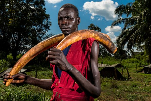 © Brent Stirton - Ivory Wars 02