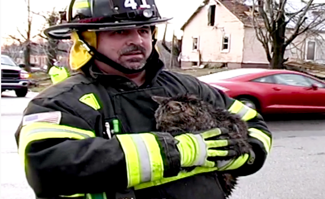 A 91-year-old Woman Tragically Died Protecting Her Cat From A Tornado