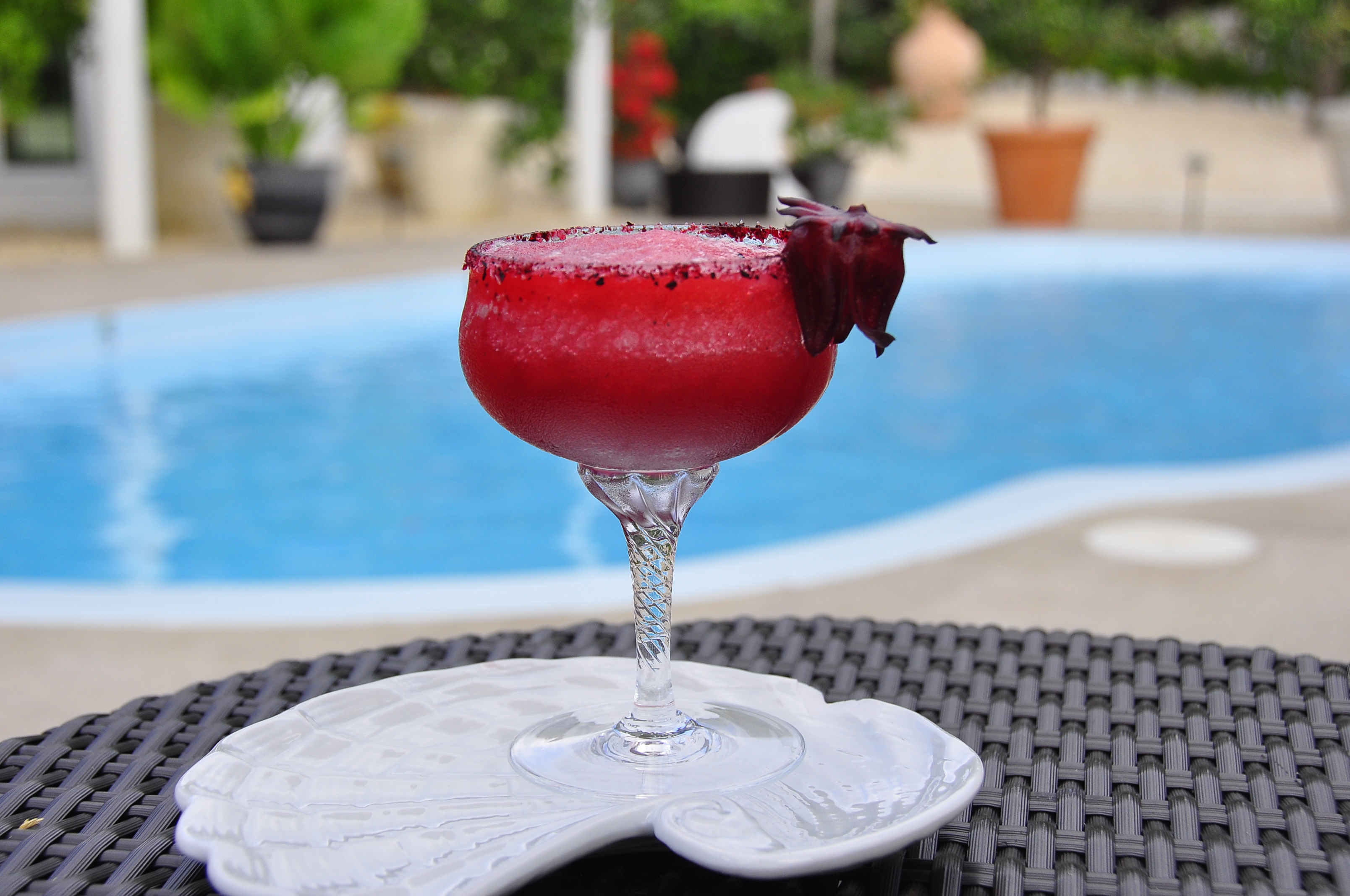 Sorrel Margarita