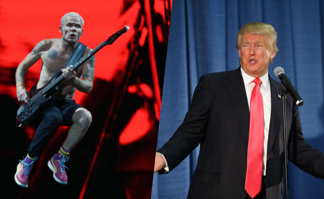 flea vs donald trump rolling stone words