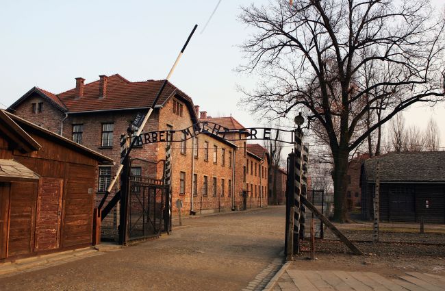 Preview For Sixtieth Anniversary Of The Liberation Of Auschwitz