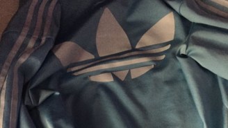 Quick Question: What Color Is This Jacket?