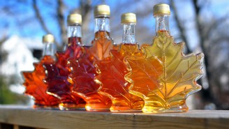 Vermont’s Syrup Producers Aren’t Happy About The Fakers Out There