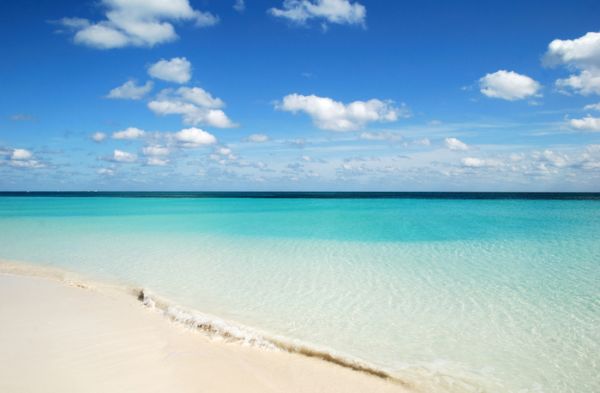 musha cay