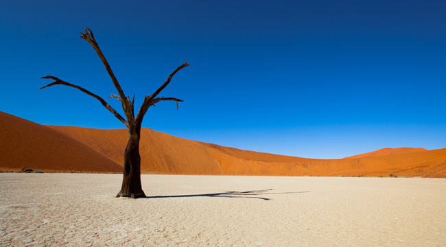 Namib-Desert