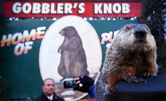 Annual Groundhog's Day Ritual Held In Punxsutawney, Pennsylvania