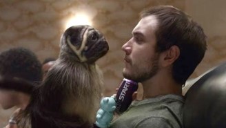 Mountain Dew’s ‘PuppyMonkeyBaby’ Commercial Is Here To Haunt Your Dreams
