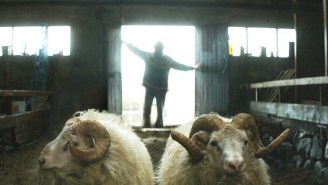 ‘Rams’ Is The Best Movie About Icelandic Shepherds You’ll See This Year