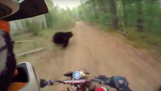 These Dirt Bikers Prove They Have Nerves Of Steel With This Near-Miss With A Bear