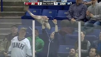 This College Hockey Fan Had A World Of Trouble Trying To Throw A Dead Fish On The Ice