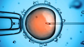 What It Really Means Now That British Scientists Can Genetically ‘Edit’ Human Embryos