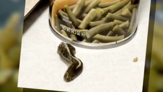 Which One Of The Signs Of The Apocalypse Is Finding A Severed Snake Head In Your Can Of Green Beans?