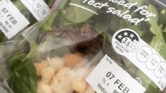This Giant Huntsman Spider Chilling In A Bag Of Salad Will Make You Swear Off Greens For Good