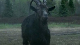‘The Witch’s’ Black Phillip is such a star he now has his very own trailer