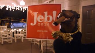 ‘Triumph’s Election Special’ is the best campaign coverage you’ll find