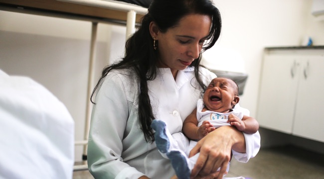 Brazil Faces New Health Epidemic As Mosquito-Borne Zika Virus Spreads Rapidly