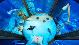 Airbnb Wants To Give You A Free Night In A Shark Tank