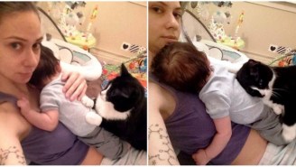 This Cat Is This Newborn’s Natural Protector, And All The Feels Are Right Here