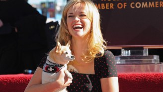 Adorable Movie Dog ‘Bruiser’ From ‘Legally Blonde’ Has Passed Away At Age 18