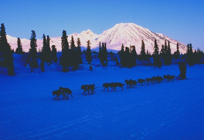 Rainy Pass iditarod