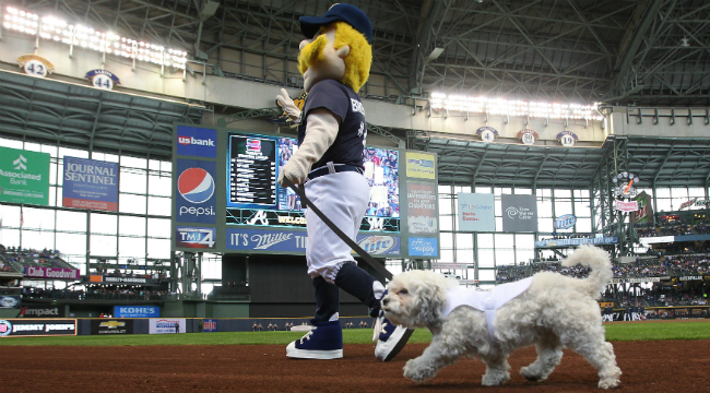 Photos: Hank the dog on Brewers opening day