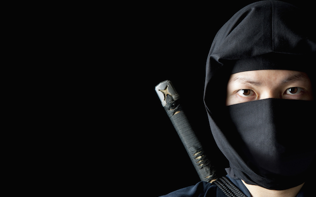 Japan Wants To Hire Some Full-Time Ninjas To Promote 'Warlord Tourism'