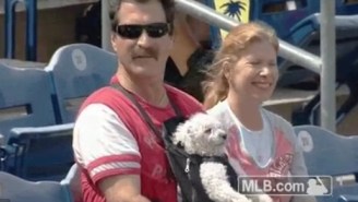 This Super Cool Dog Chilling At A Phillies Game Is Having The Best Day Ever