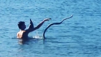 Nothing To See Here, Just A Guy in Australia Going For A Swim With His Pet Snake And A Beer