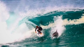 Dolphin/Human Relations Seem To Be On The Upswing With These Two Chill Bros Sharing A Wave