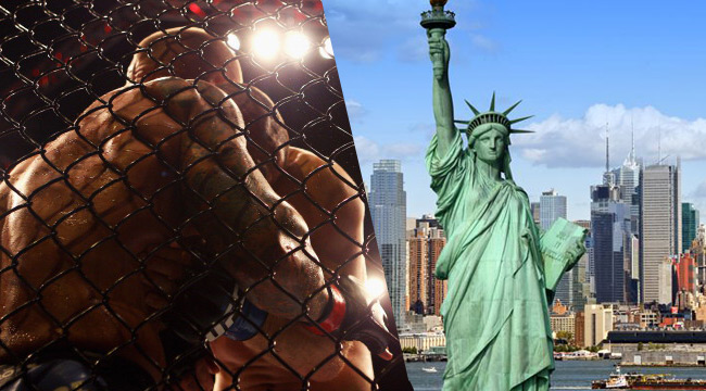 USA.CageFight-Uproxx