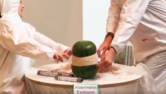 More People Watched This Watermelon Explode Than Some Of Your Favorite TV Shows