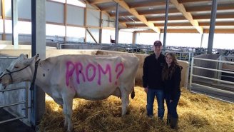 This Farm-Friendly Promposal Combines Woo And Moo