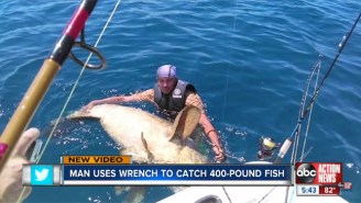 Florida Man Reels In A 400-lb Goliath Grouper With A … Wrench?