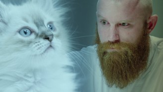 This Is The Best Cat Vs. Thug Staring Contest You Will See All Day