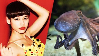 From A Fugitive Octopus To A Pokemon Bra, Here’s Your Guide To This Week’s Weirdest