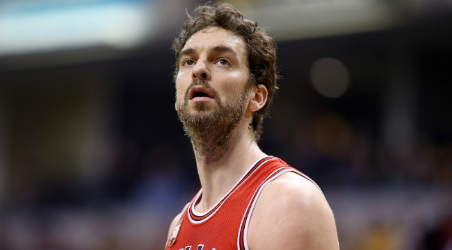 pau gasol